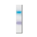 DNA loading Buffer Blue