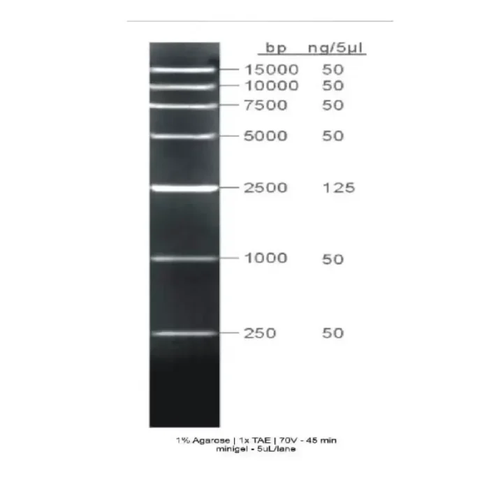 High Range Ladder - Image 1