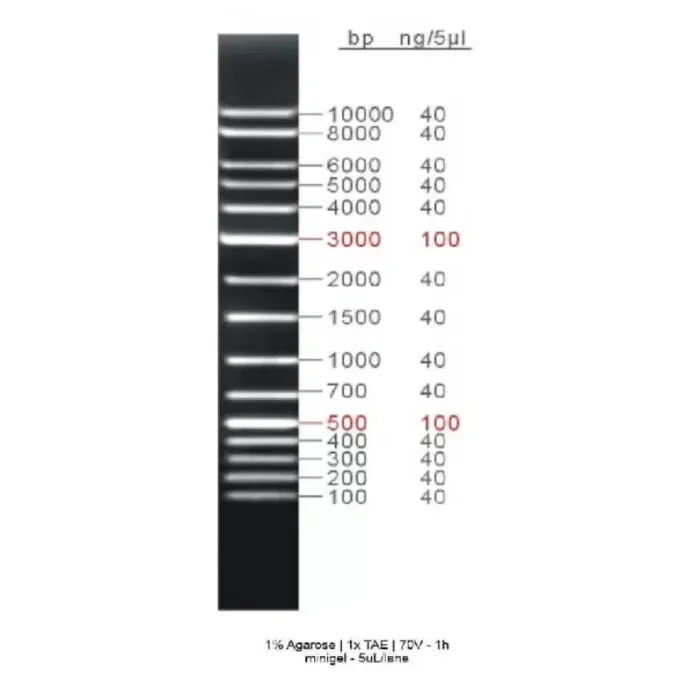 Universal Ladder - Image 1