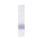 DNA Loading Buffer Blue (6X)