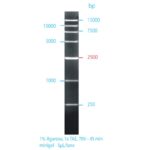 High Range Ladder